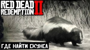 Где найти Скунса в Red Dead Redemption 2