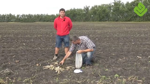 Настройка свеклоуборочного комбайна Holmer