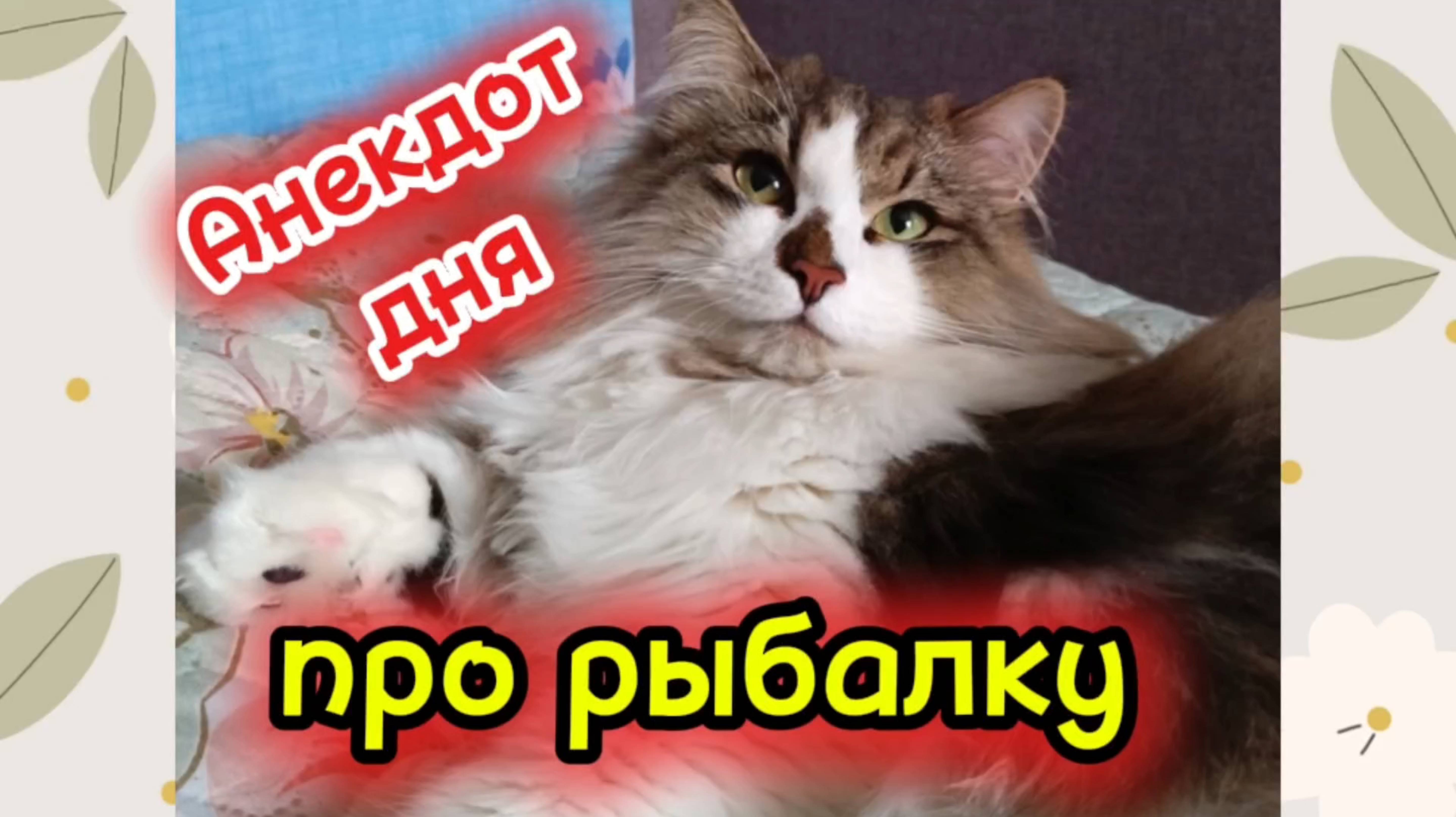 Анекдот дня. смотреть онлайн