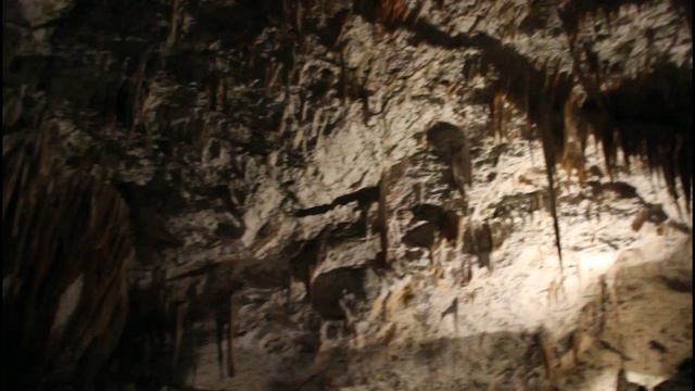 Словения. Экскурсия в пещеру Постойнска-Яма. смотреть онлайн