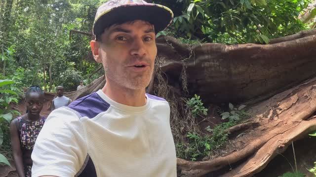 ВОДОПАД В КЕНИЙСКОМ ЛЕСУ / ЕСТЬ ЛИ ЖИВОТНЫЕ В КАРУРА ФОРЕСТ смотреть онлайн