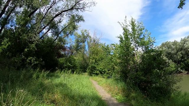 Прогулки по паркам ОМСКА.Левобережный парк. смотреть онлайн