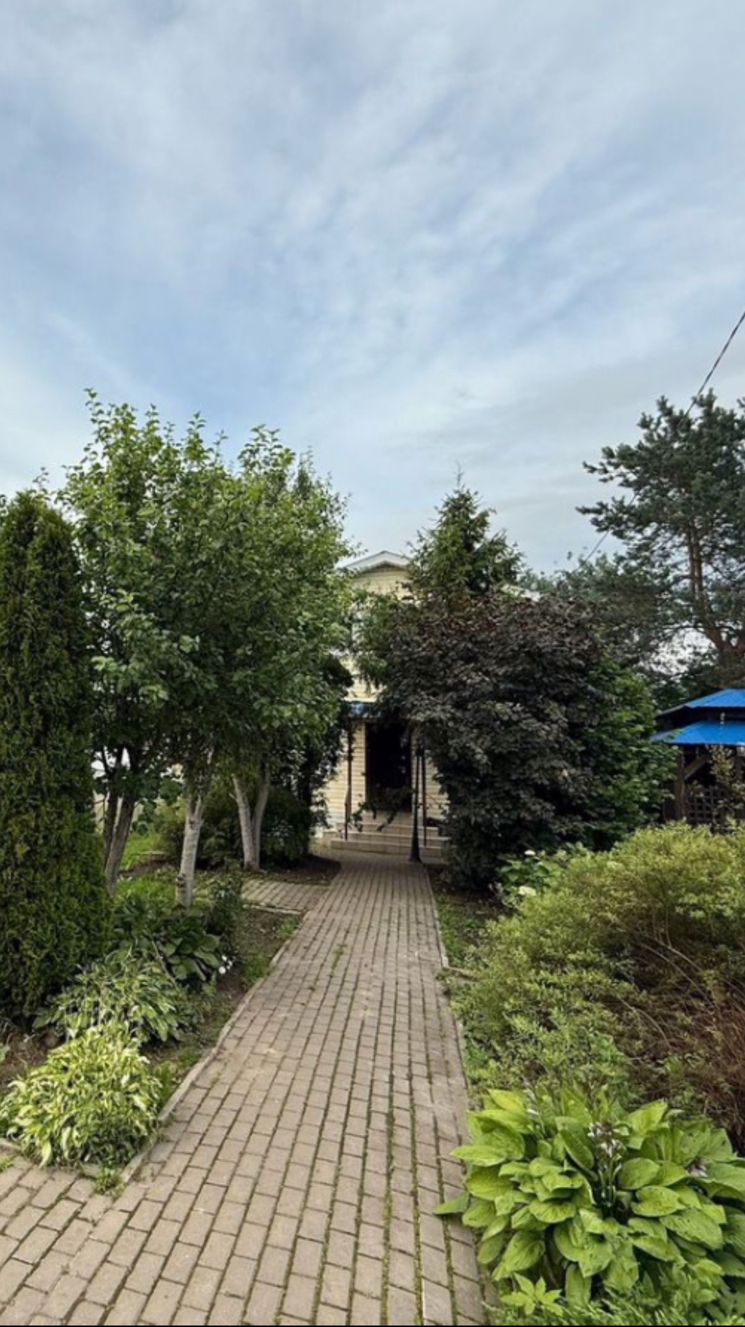 СНТ «Лесное-2», уч.№5 (Участок)