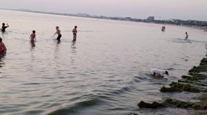 Анапа Сегодня 2025 Август жизнь на планете с нуля