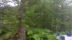 Из окна поезда "Орлан" по маршруту Холмск-Северный - Чертов мост. Остановка Николайчук. Часть 4