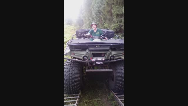 Вот такая работа/Лесные просеки/ Сестра на работе