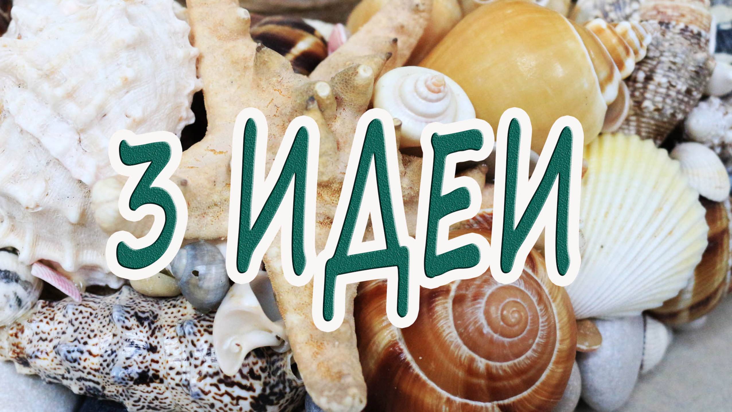 3 потрясающие идеи поделок из ракушек, которые превратят ваш дом в морской рай