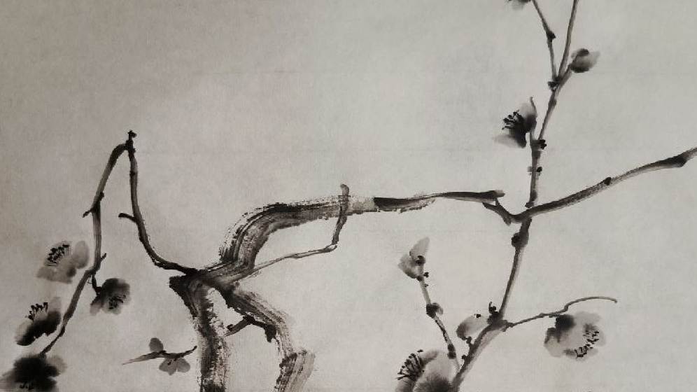 Суми Э. Рисуем сливу.