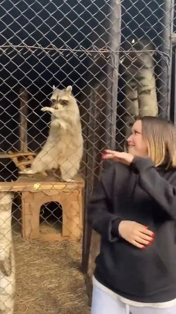 Ты в ритме танца смотреть онлайн