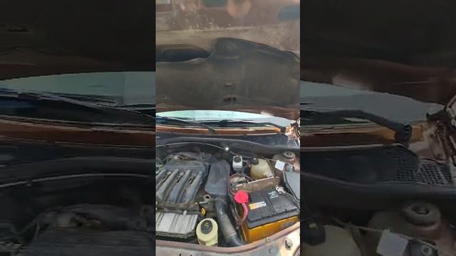 VID-20250621-WA0000 смотреть онлайн