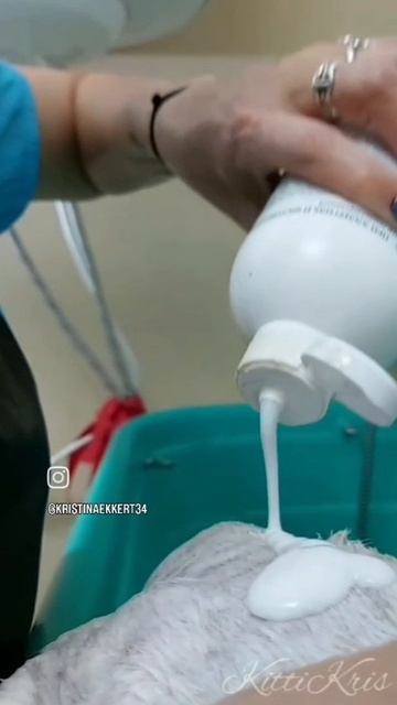 приглашаю на стрижку животных