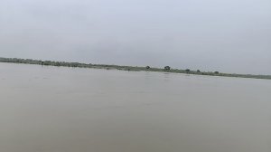 Нага пратиштха хома. Часть 2. Ямуна. 29.07.25