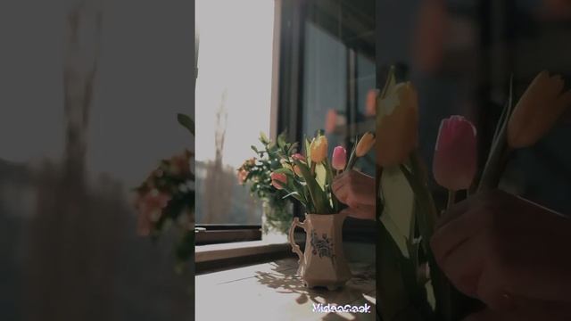 гитара смотреть онлайн