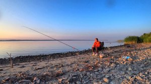 ПОТАЩИЛ ВМЕСТЕ С УДОЧКОЙ В ВОДУ! РЫБАЛКА С НОЧЕВКОЙ, ЖАРЮ РЫБУ НА ПРИРОДЕ..