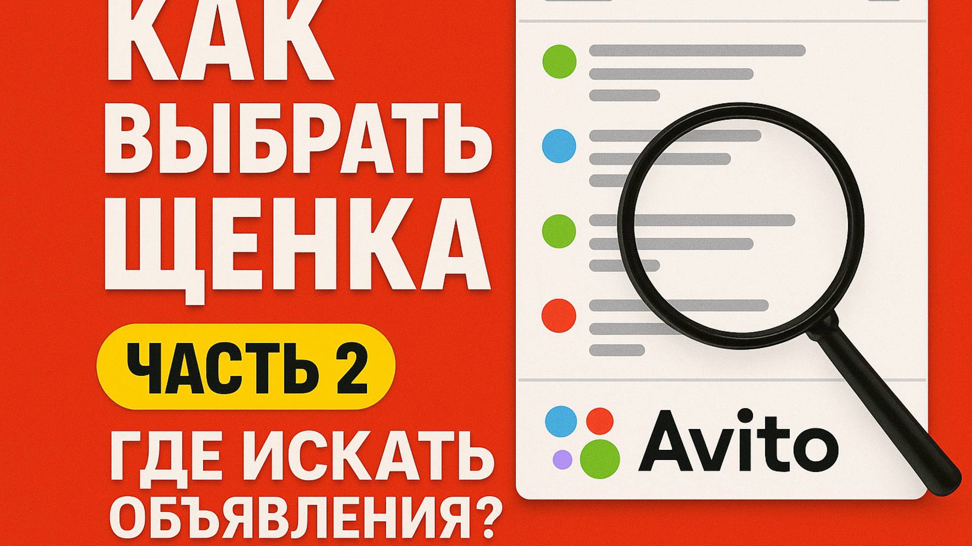 О Кинологии Простыми Словами