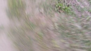 3 серия страшный гараш 666