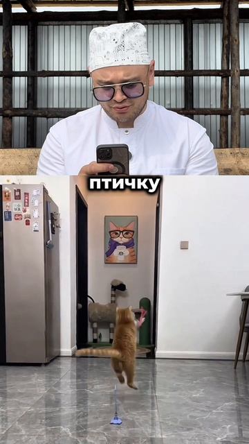 Товары для 🐈🐶 с маркетплейсов