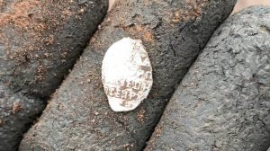 Полевой коп. Чешуя кругом!