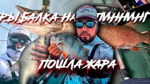 Попали на вечерний клёв. Ловля окуня на Mifine microbite. Как поймать щуку?