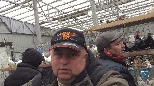 Ярмарка голубей в городе Москва 27.10.2018 г смотреть онлайн