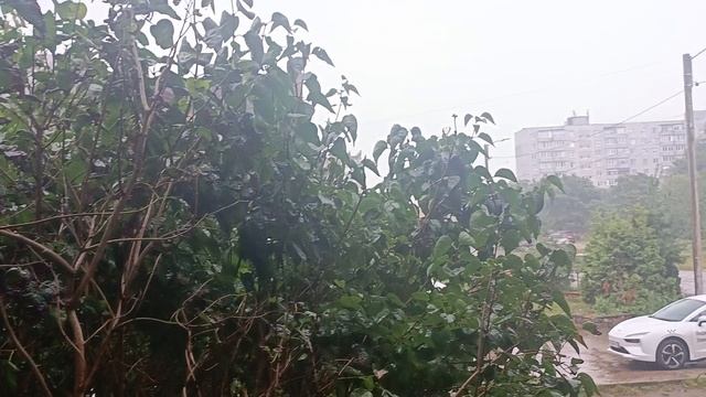 Да Лето в этом году нету 😔🌦️☔ смотреть онлайн