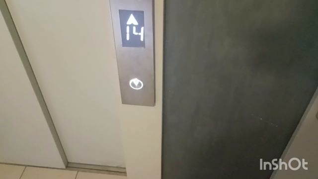 Лифт KOYO 2021 г