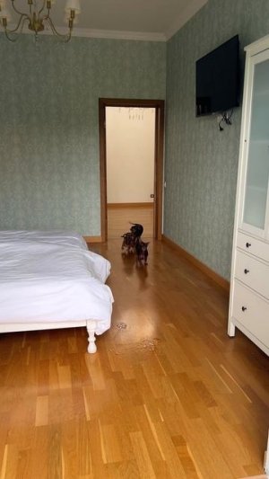 ИГРАЕМ В ПРЯТКИ