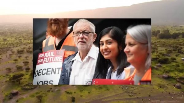 What Happens After the Collapse