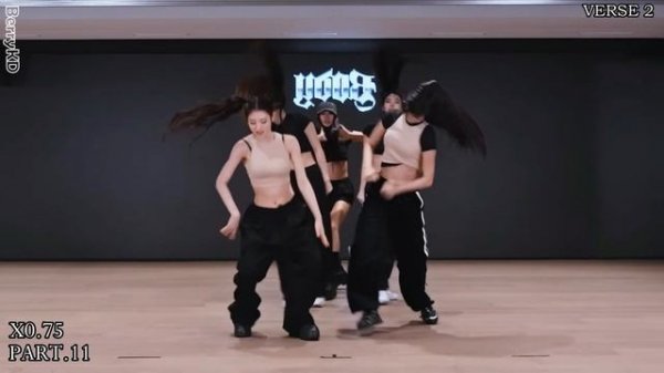 MEOVV- 'BODY' Dance Practice Mirrored Tutorial (SLOWED)