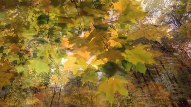 Лист как зеркало души смотреть онлайн