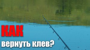 Что делать, если клев прекратился? Как вернуть клев? Рыбалка на фидер на реке Быстрая Сосна