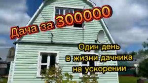 Один день из жизни дачника