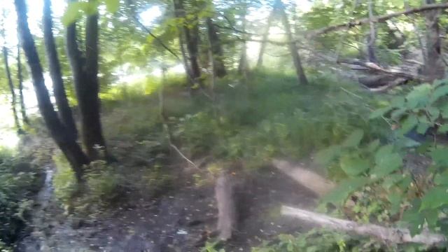 Родник в хоперском заповеднике( 2019год) смотреть онлайн