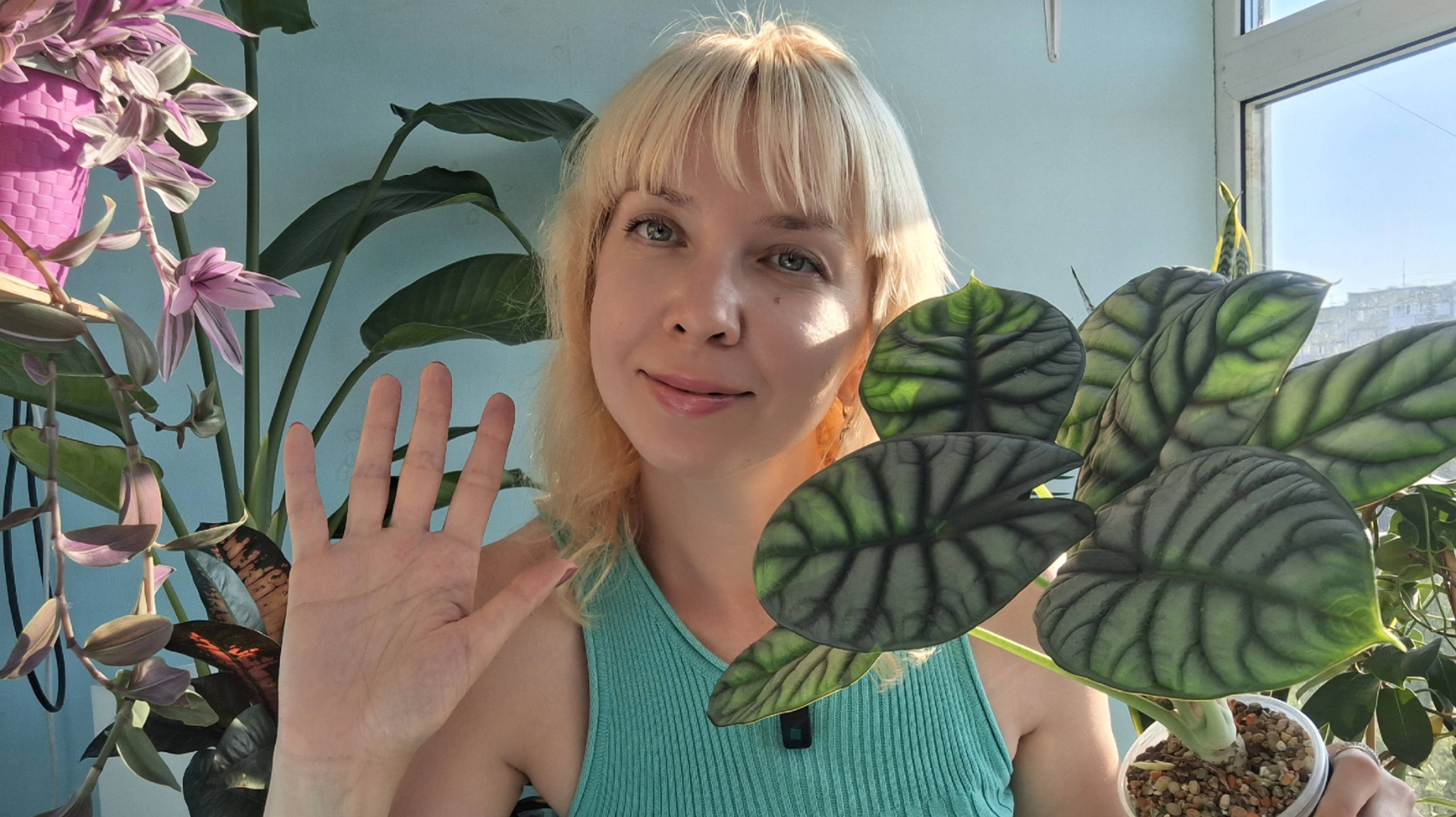 Мои любимые алоказии смотреть онлайн