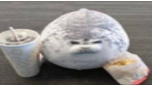 Мем для соболя мне рутуб запретил комменты писать до 5 августа ден19к жура24к сериал дилод63к кореш