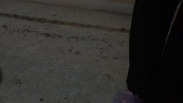 Дезинфекция голубятни Йодом однохлористым. смотреть онлайн