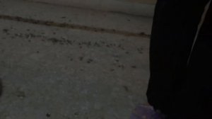 Дезинфекция голубятни Йодом  однохлористым.