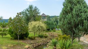 «Кремниевы термы» за 15 секунд