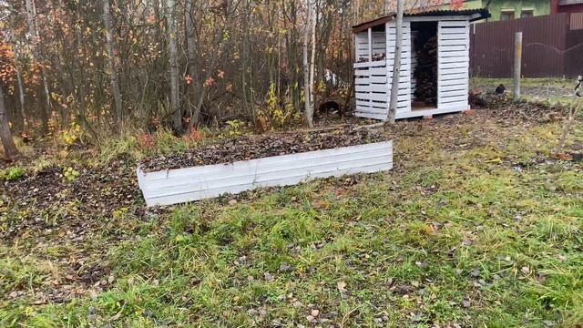 Поздняя осень. Мы на даче.