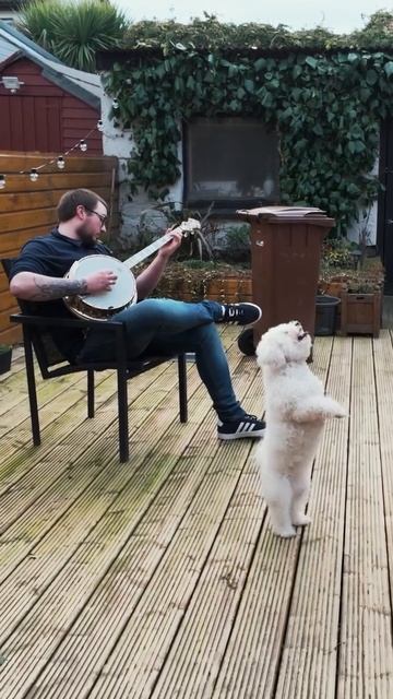 Моя маленькая танцовщица Дейзи 🐾 🇮🇪 смотреть онлайн