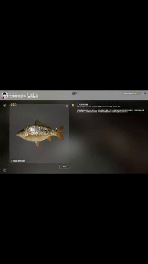 немцы трофы медное