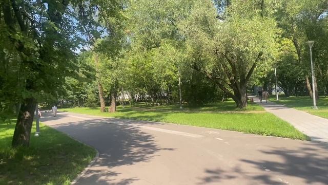 Погружение в Зелёный Парк под Мягким Сиянием Летнего Полдня