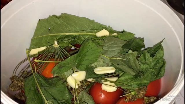 Квашеные помидоры как бочковые - лучший рецепт заготовки на зиму. смотреть онлайн