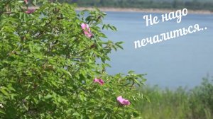 "Не надо печалиться"... кавер