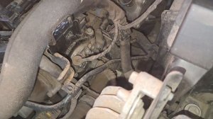 Где находится номер двигателя на ВАЗ, иномарках и любом другом автомобиле