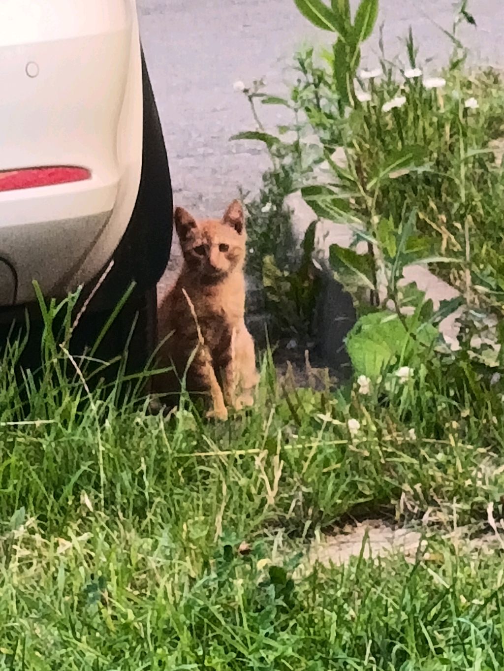 Кирилл  хайп