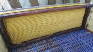 пчела Элгон на ячейке 5,16 мм - строю магазинные рамки и ставлю магазин , 28.07.2025