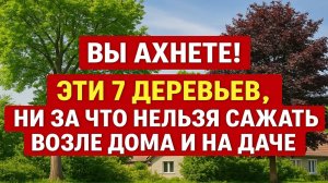 Никогда не сажайте эти деревья возле своего дома: ТОП-7 опасных растений, которых стоит избегать