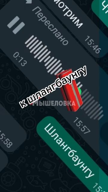Шлангбаум смотреть онлайн