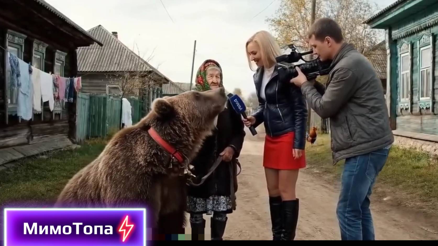 Нейросетевые мемы из инета